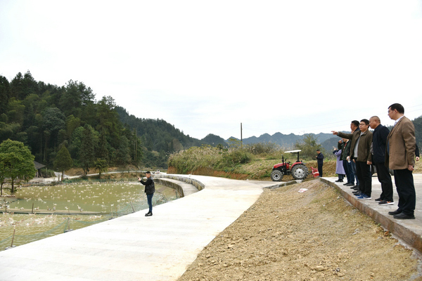 1637302740109774.jpg 190.JPG